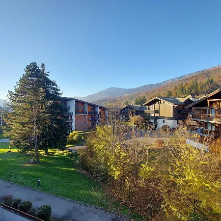 Chaleureux Avec Balcon Au Centre De - Fr-1-624-83 Apartment Samoens
