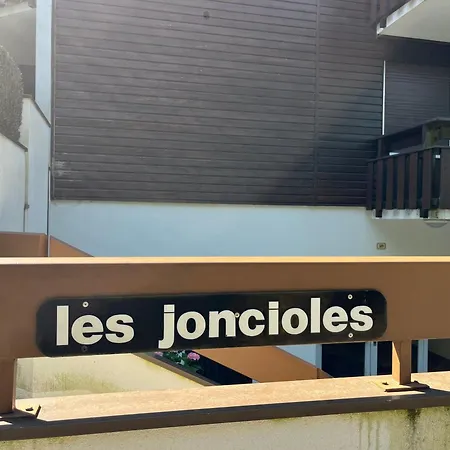 Chaleureux Avec Balcon Au Centre De - Fr-1-624-83 Apartment Samoens